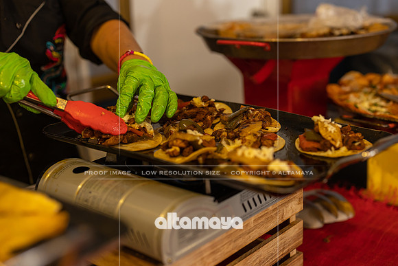 3T8A6177