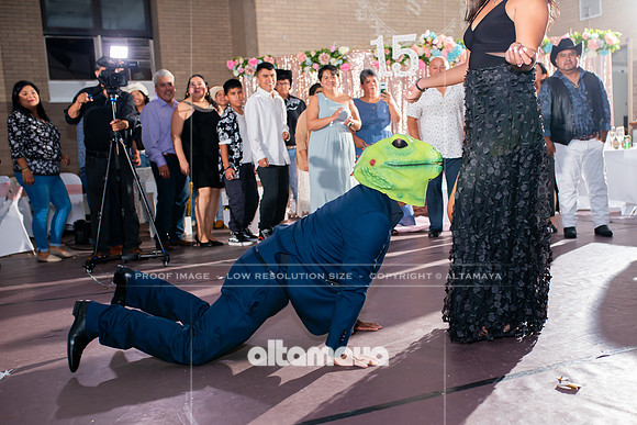 DSC_2401