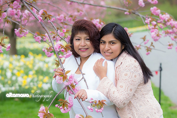 IMG_8650-Edit copy