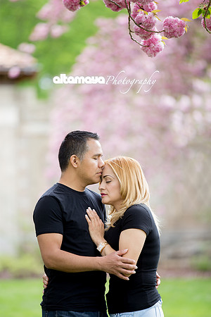IMG_9774-1 copy