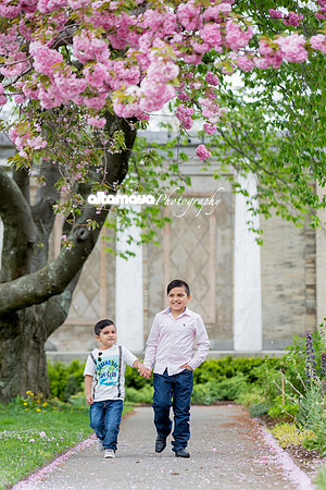 IMG_0001-1 copy